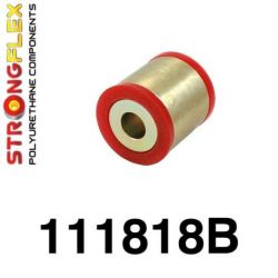 111818B: ZADNÉ A-rameno - vnútorný silentblok
